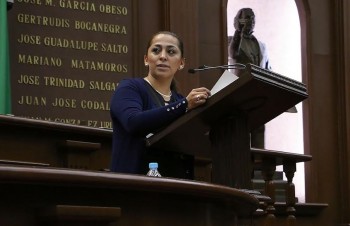 diputada alma mireya pan