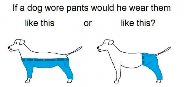 pantalones de perro-twitter