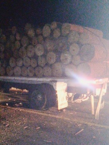 SSP Decomisa Tráiler Con 67 Rollos De Madera En #Charo