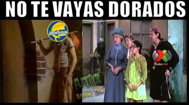 dorados sinaloa meme 4