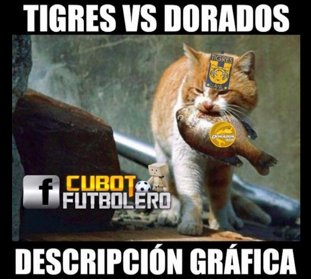 dorados sinaloa meme 5