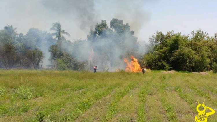 incendio-en-apatzingan