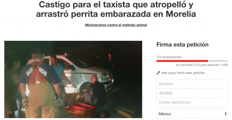 salvador ortiz-taxista atropello a una perra embarazada