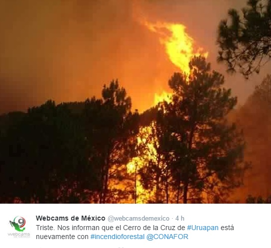 cerro de la cruz incendio 4