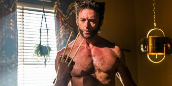 wolverine