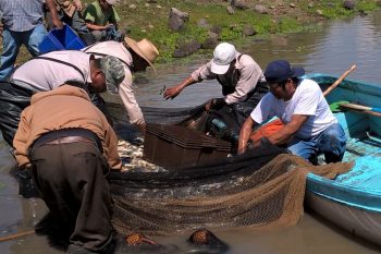 Pescadores-De-Zona-Rural-De-Morelia-1