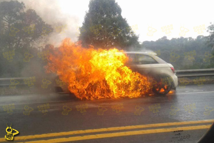 incendio-Patzcuaro-Uruapana-Zirahuen-2