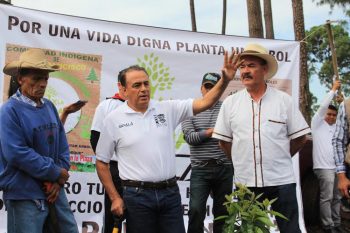 Con-éxito-se-realiza-campaña-de-reforestación-de-Sigala-en-Los-Reyes-y-Peribán-1