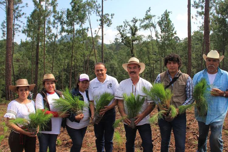 Con-éxito-se-realiza-campaña-de-reforestación-de-Sigala-en-Los-Reyes-y-Peribán-2