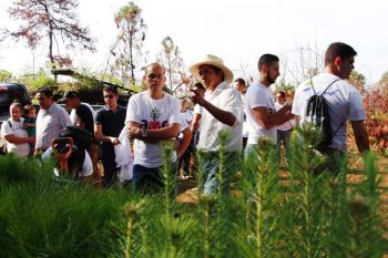 Jose-Manuel-Hinojosa-Perez-PAN-Michoacan-reforestacion