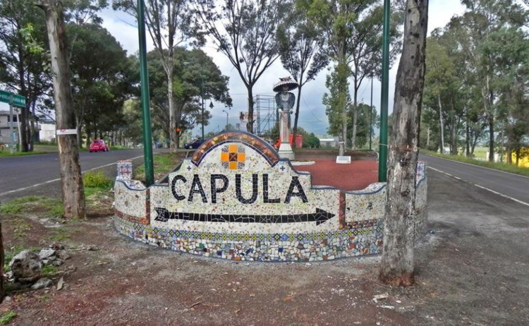 capula-2