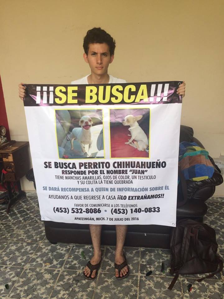 se busca a perrito juan