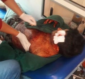 patzcuaro herido