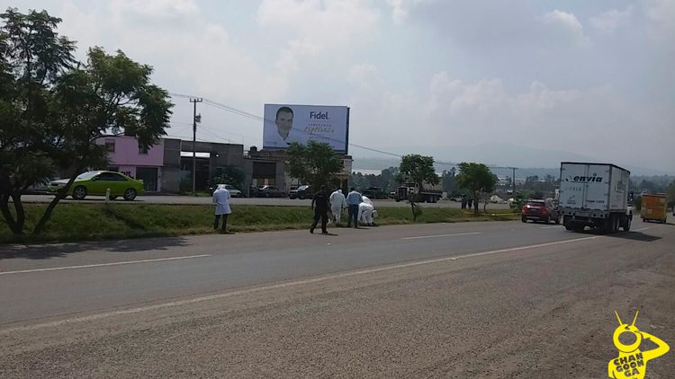 atropellado-en-la-carretera-morelia-patzcuaro