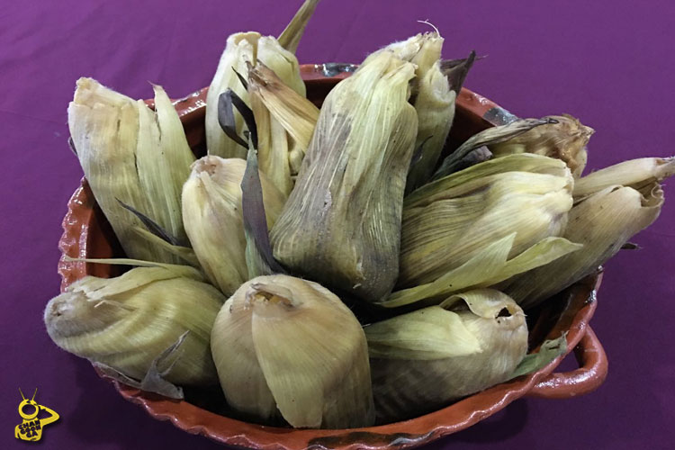 platillo-michoacan-tamales