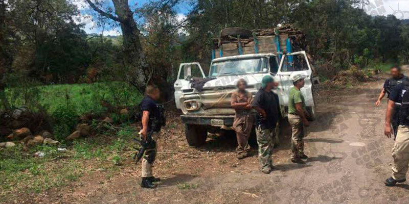 Detienen-A-Vatos-Que-Talaban-Árboles-Para-Sembrar-Aguacates-En-Pátzcuaro