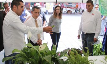 Cuidar medioa ambiente Uruapan