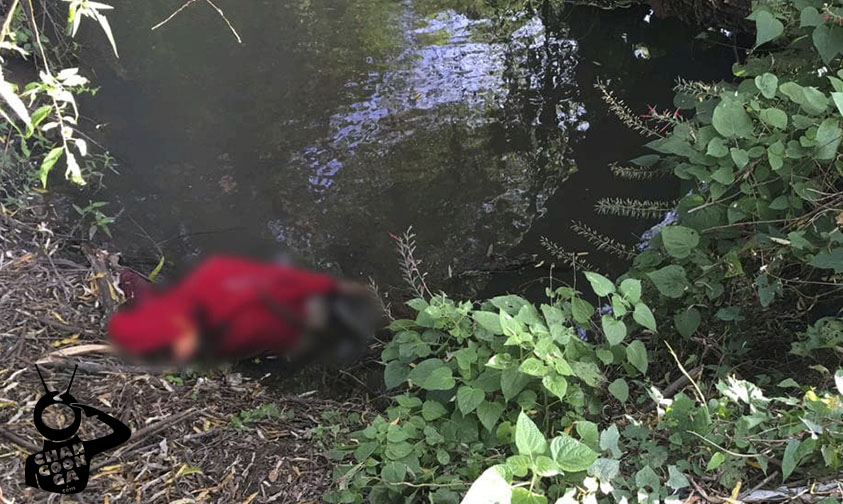 Michoacán Hallan Mujer Baleada En Canal De Riego De Zamora