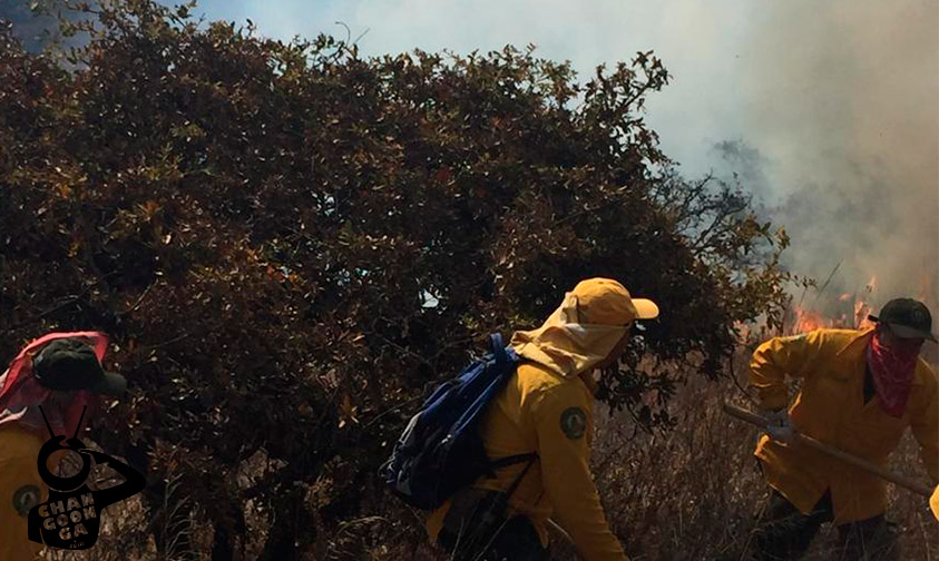 incendio-forestal-sur-Morelia