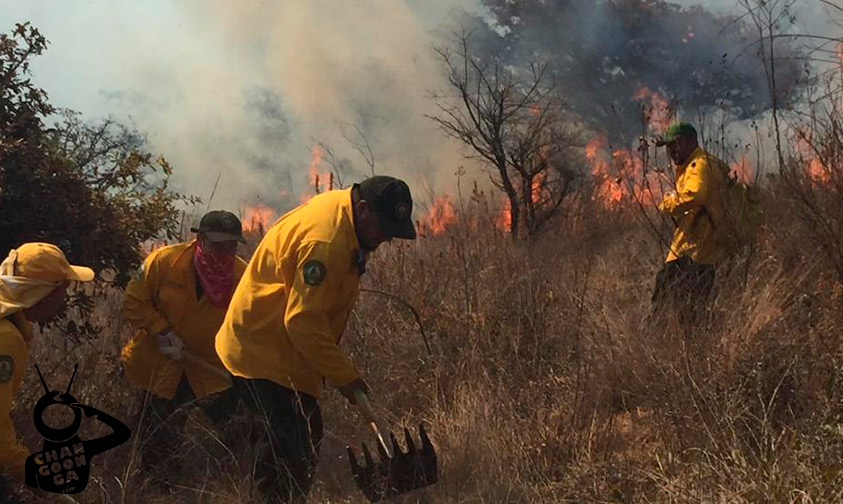 incendio-forestal-sur-Morelia