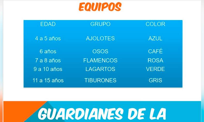 equipos-curso-de-verano-Guardianes-de-la-Naturaleza-2019