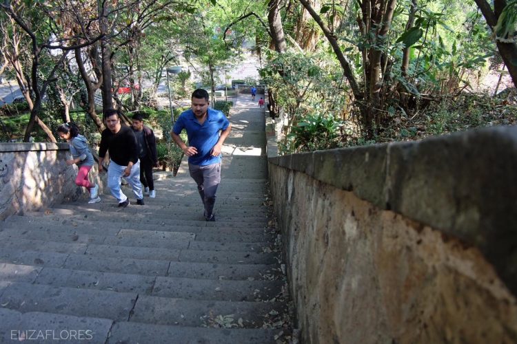 #Morelia Deportistas En Escaleras De Santa María No Paran Pese A Contingencias