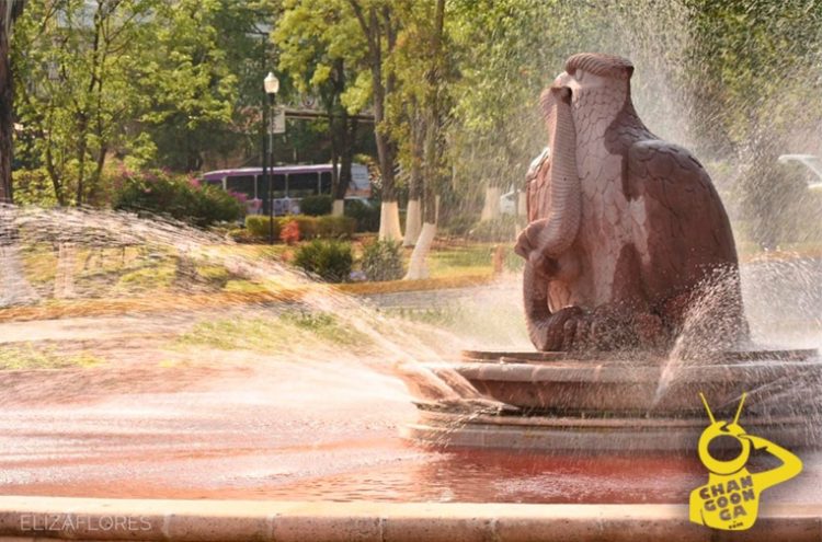 #Morelia Pintan De Rojo Aguas De La Fuente Del Águila: “Vivas Nos Queremos”