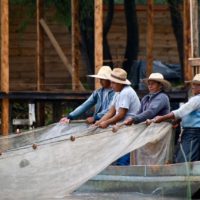 Michoacan Crisis De Pesca En El Lago De Pátzcuaro