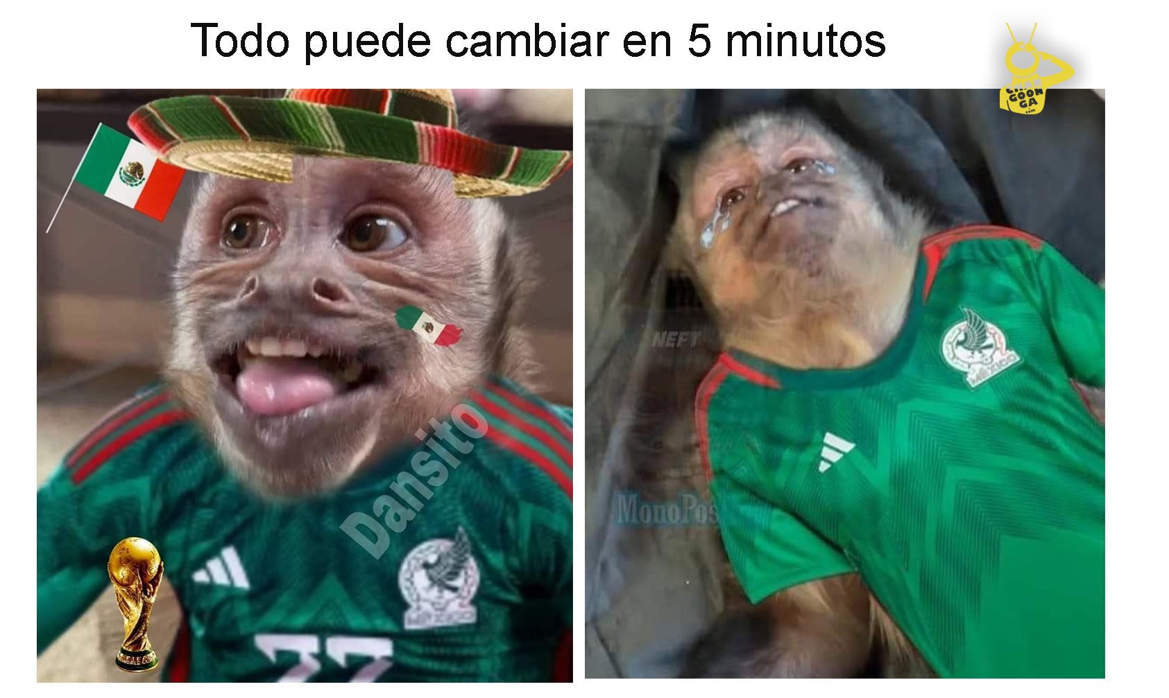 Pero Hey Los Memes No Faltaron Eliminan A M Xico Del Mundial