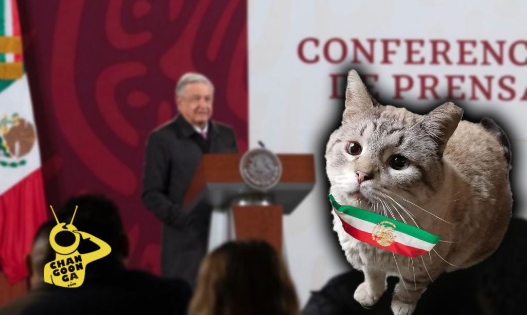 Qué Gatada Michi Se Metió A La Mañanera De AMLO En Palacio Nacional