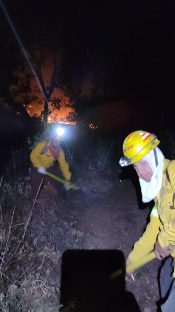 Uruapan Brigadistas Controlan Incendio Forestal En Localidad El Ucaz