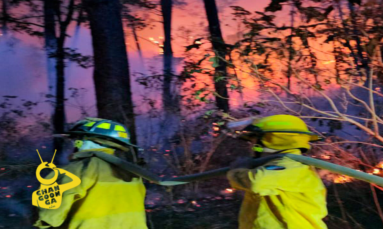 Michoac N Sin Descansar Brigadistas Combaten Incendio Forestal En