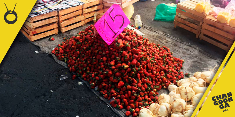 venta-fresas-15-kilo