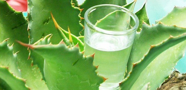 Mezcal