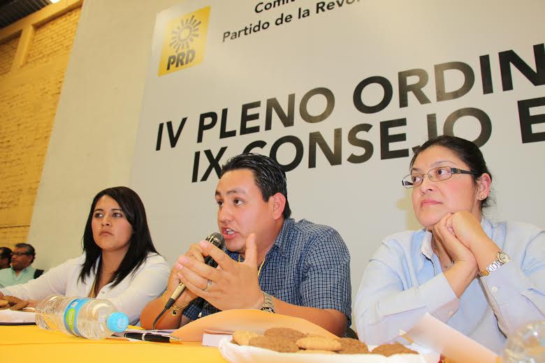 Confirma comisión nacional electoral del PRD convocatoria a Renovar dirigentes estatales