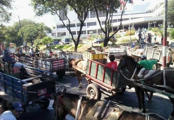 carriteros. carretas jaladas por caballos