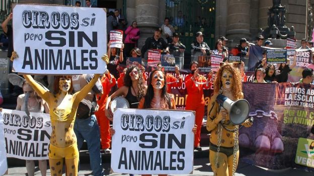 circos sin animales