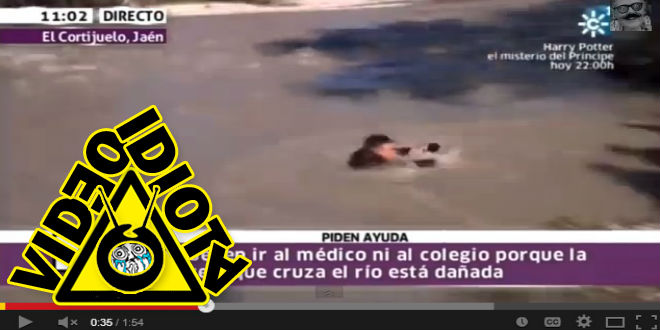 video idiota reportero estrella