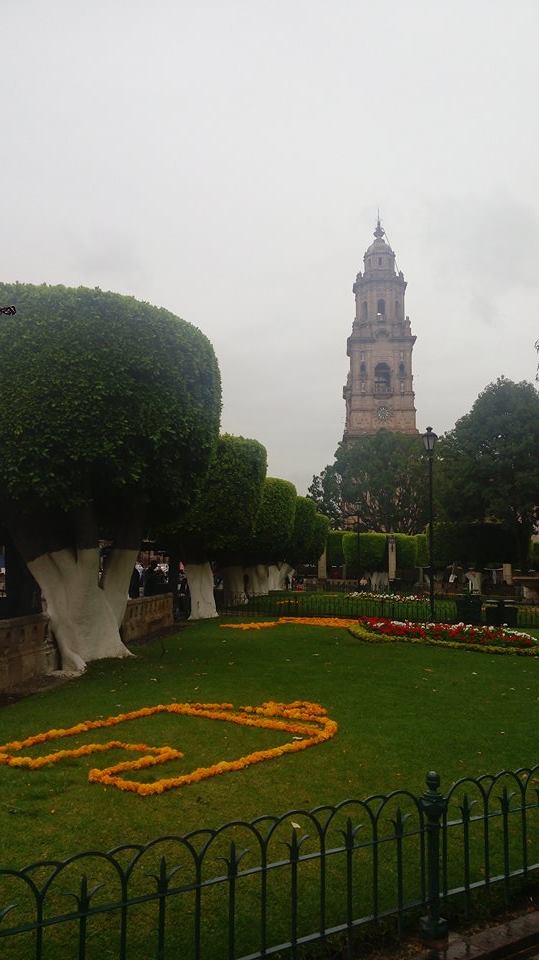 morelia flores dia de muertos