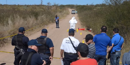 integrante de los cardenales de sinaloa