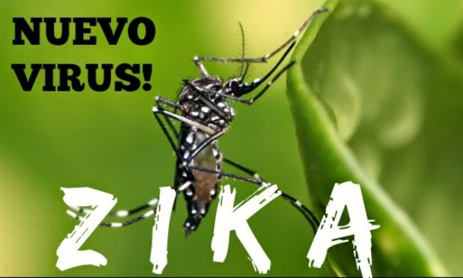 zika virus