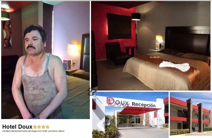 chapo motel la buena