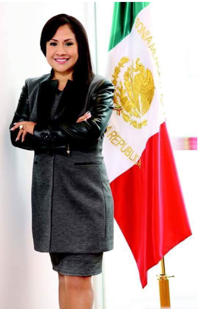 senadora pri bandera