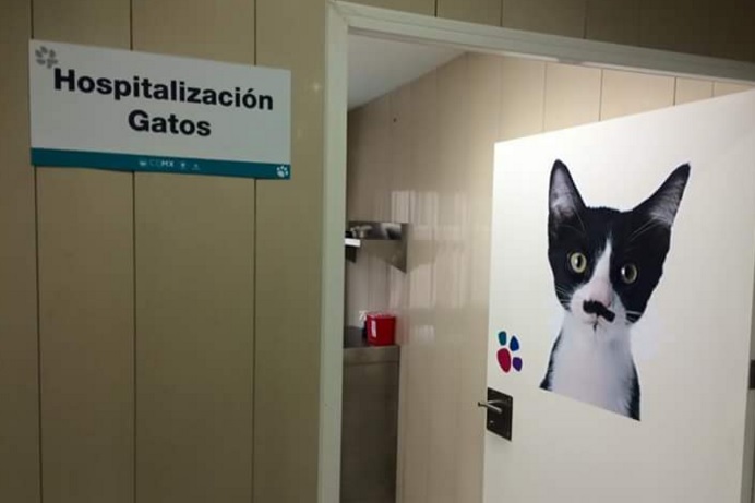 hospital mascotas cdmx 3