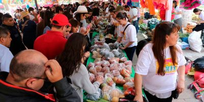 Kermes-DIF-Michoacan-2017