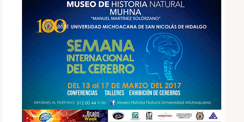 Semana-Internacional-Del-Cerebro