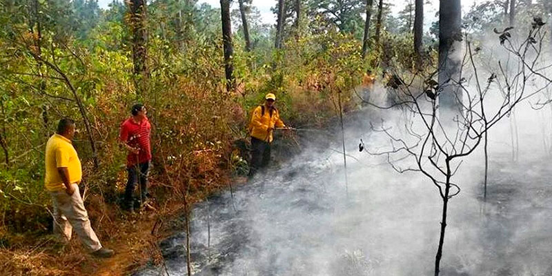 Chécate-Las-Recomendaciones-De-Protección-Civil-Para-Evitar-Incendios