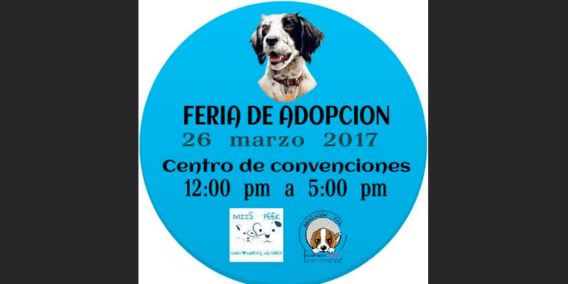 ¡Atenti!-Este-Fin-De-Semana-Ferias-De-Adopción-Canina-Y-Gratis-Esterilización--1