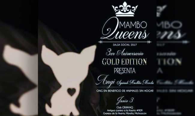 Mambo-Queens-Angui-Tete-2