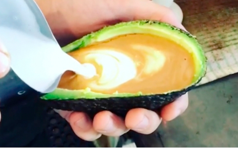 aguacate-café-Australia